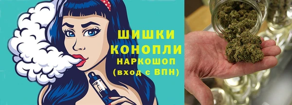 эйфоретик Арсеньев