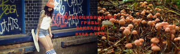 трава Лихославль