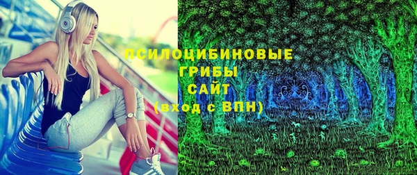 крисы Армянск