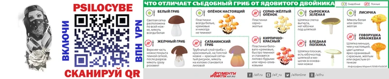 Псилоцибиновые грибы Psilocybine cubensis  Олонец 