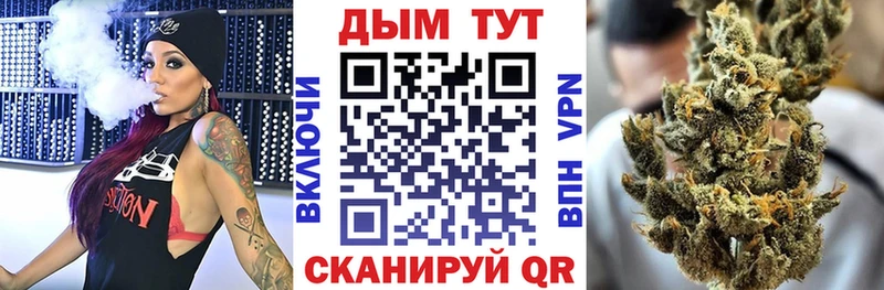 МАРИХУАНА сатива  Олонец 